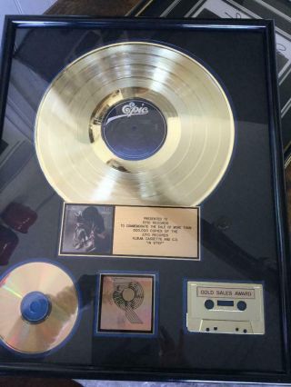 Stevie Ray Vaughan Double Trouble Gold Record Display Authentic In Step Riaa