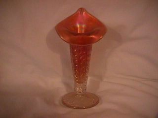 Rare Antique Dugan Carnival Glass Formal Jack - In - The - Pulpit Vase (marigold)