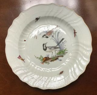 3 Antique 18 C.  Meissen Hand Painted Ornithological Plates - Birds And Insects 9