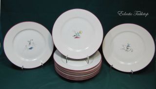 Nine Vintage Circa 1928 Richard Ginori Circo Luncheon Plates - Rare - 9.  5 "