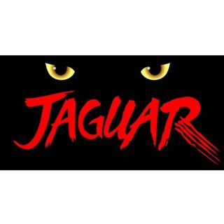 Custom Made Collectible Atari Jaguar Logo Magnet (4½ " X2¼ ")