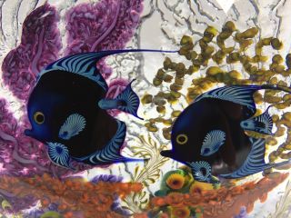 Chris Heilman French Angel Coral Reef Series 1995 large art glass 9 
