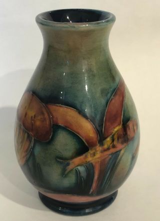 Rare William Moorcroft Small Fish,  Jelly Fish,  Starfish Pottery Vase C 1930