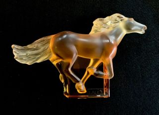 Lailque Kazak Galloping Horse Amber NIB Signed Guaranteed Authentic 4