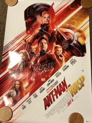 Ant - Man & The Wasp Signed Ds Movie Poster Paul Rudd Evangeline Lilly Marvel