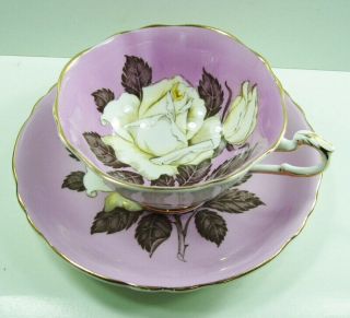 Paragon White Rose Cup And Saucer With Lavender Background