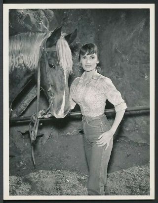 1960’s Photo Gloria Talbott Sexy Film & Tv Actress With Horse