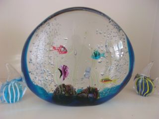 Large Splendid Murano Oggetti Fish Aquarium Elio Raffaeli Art Glass Sculpture,