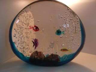 LARGE Splendid MURANO Oggetti Fish AQUARIUM Elio RAFFAELI Art Glass Sculpture, 2