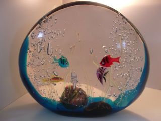 LARGE Splendid MURANO Oggetti Fish AQUARIUM Elio RAFFAELI Art Glass Sculpture, 4