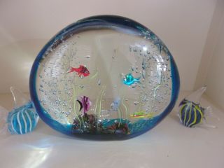 LARGE Splendid MURANO Oggetti Fish AQUARIUM Elio RAFFAELI Art Glass Sculpture, 5