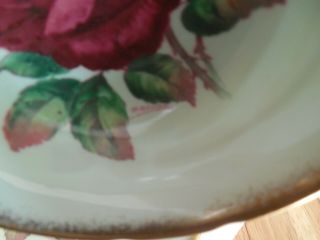 Paragon Red Rose Light Green Cup and Saucer Double Warrant Signed R Johnson 11