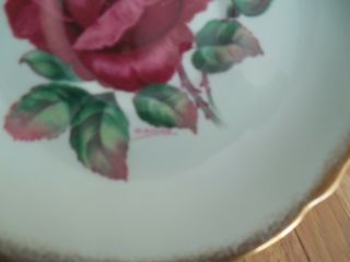 Paragon Red Rose Light Green Cup and Saucer Double Warrant Signed R Johnson 12