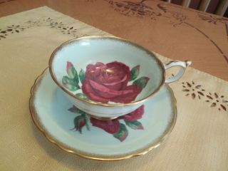 Paragon Red Rose Light Green Cup And Saucer Double Warrant Signed R Johnson