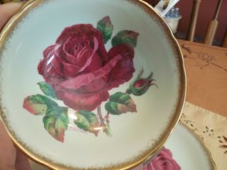 Paragon Red Rose Light Green Cup and Saucer Double Warrant Signed R Johnson 3