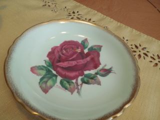 Paragon Red Rose Light Green Cup and Saucer Double Warrant Signed R Johnson 6