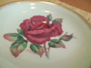 Paragon Red Rose Light Green Cup and Saucer Double Warrant Signed R Johnson 7