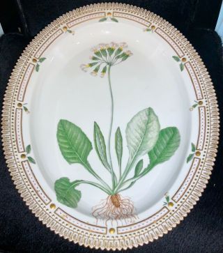 Royal Copenhagen Flora Danica Serving Oval Dish “primula Unicolor Nolt” 20 3517