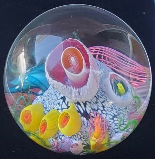 4 1/4” Large Signed Mark Eckstrand Art Glass Sea Aquarium Paperweight 1995