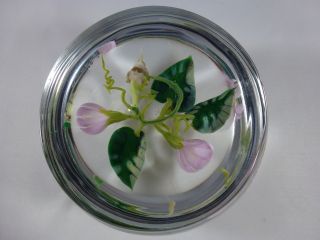 Jim Donofrio Pink Flowers and Fairy Goblin Root Glass Paperweight 2