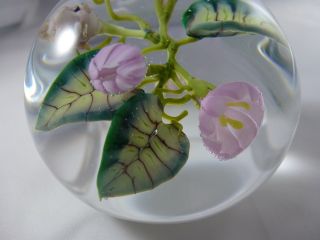 Jim Donofrio Pink Flowers and Fairy Goblin Root Glass Paperweight 5