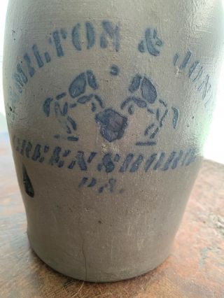 Antique Rare 1g Stenciled Horses Hamilton & Jones Greensboro Pa Whisky Jug