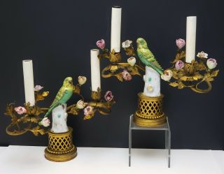 Antique French Gilt Bronze Candelabra Lamps w Parrot Porcelain Figurines Flowers 2