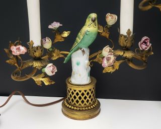 Antique French Gilt Bronze Candelabra Lamps w Parrot Porcelain Figurines Flowers 4
