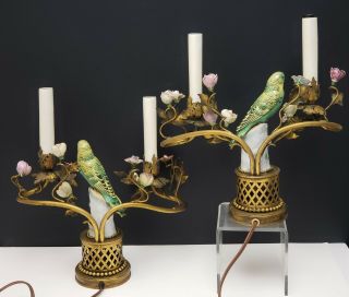 Antique French Gilt Bronze Candelabra Lamps w Parrot Porcelain Figurines Flowers 5