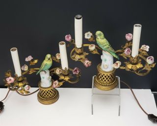 Antique French Gilt Bronze Candelabra Lamps w Parrot Porcelain Figurines Flowers 6