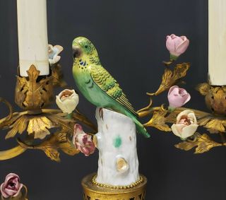 Antique French Gilt Bronze Candelabra Lamps w Parrot Porcelain Figurines Flowers 7
