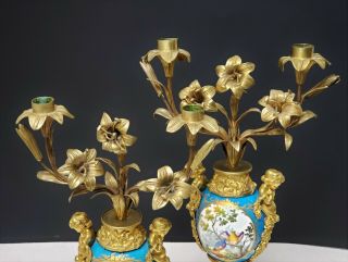 19th c Antique French Gilt Bronze & Sevres Porcelain Candelabras w Birds 10