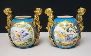 19th c Antique French Gilt Bronze & Sevres Porcelain Candelabras w Birds 11