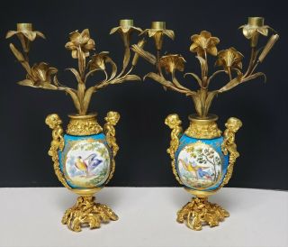 19th c Antique French Gilt Bronze & Sevres Porcelain Candelabras w Birds 3