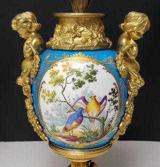 19th c Antique French Gilt Bronze & Sevres Porcelain Candelabras w Birds 6