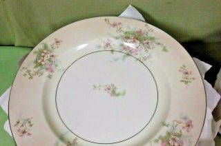 Theodore Haviland Apple Blossom Dinner Plate Cup and Saucer set NY York vtg 3
