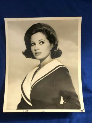 Barbara Parkins Black & White Publicity Photo Peyton Place,  Valley Of The Dolls