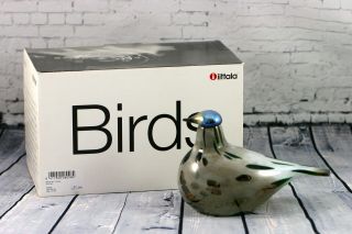 Rare Iittala Oiva Toikka Art Glass Bird Sumusirri Limited Edition (200pcs) Nib