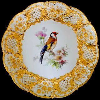 Rarelarge Antique Meissen Porcelain Rococo Gold Heavy Gilded Bird Wow