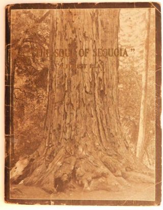 1919 The Soul Of Sequoia A Forest Play 1st Annual Sempervirens Club Of Ca C331