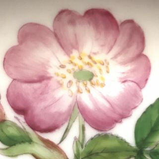 Royal Copenhagen “Flora Danica” Rosa Canina L Porcelain Dinner Plate 3