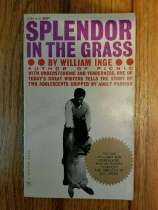 Splendor In The Grass By William Inge (1961,  1st Ed) Rare Mti Screenplay Pbo