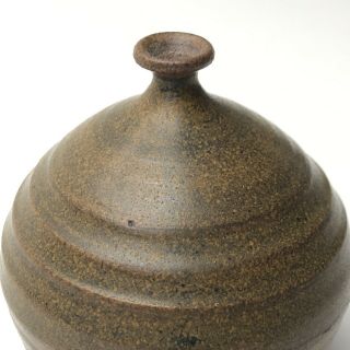 Fine Doyle Lane Studio Pottery Vase Weed Pot