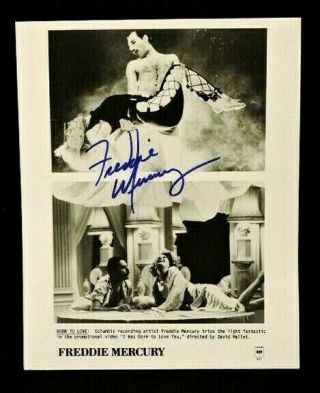 Freddie Mercury (d.  1991) Lead Singer Of Queen Signed Press Photograph Loa