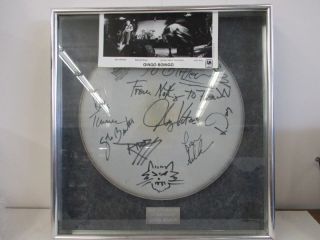 Oingo Boingo Autographed Drum Head Danny Elfman A Nighmare Before Christmas