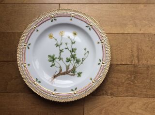 Royal Copenhagen Flora Danica Dinner Plate Potentilla Maculata Pourr.  Perfect