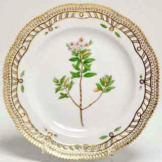 Royal Copenhagen " Flora Danica " Ledum Groenlandicum Oed Luncheon Plate 10