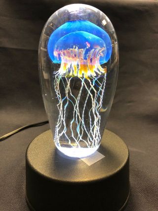 Richard Satava Jellyfish Art Glass Sculpture Paperweight With Light Base