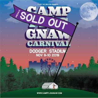 Camp Flog Gnaw 2019 2 Day Vip Pass Wrist Band,  Merch