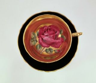 RARE Paragon Pink Floating Rose,  Gold/Black,  Teacup & Saucer 11